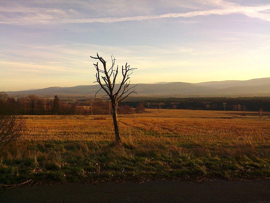 Jesienne Izery w grudniu (+12*C ! )