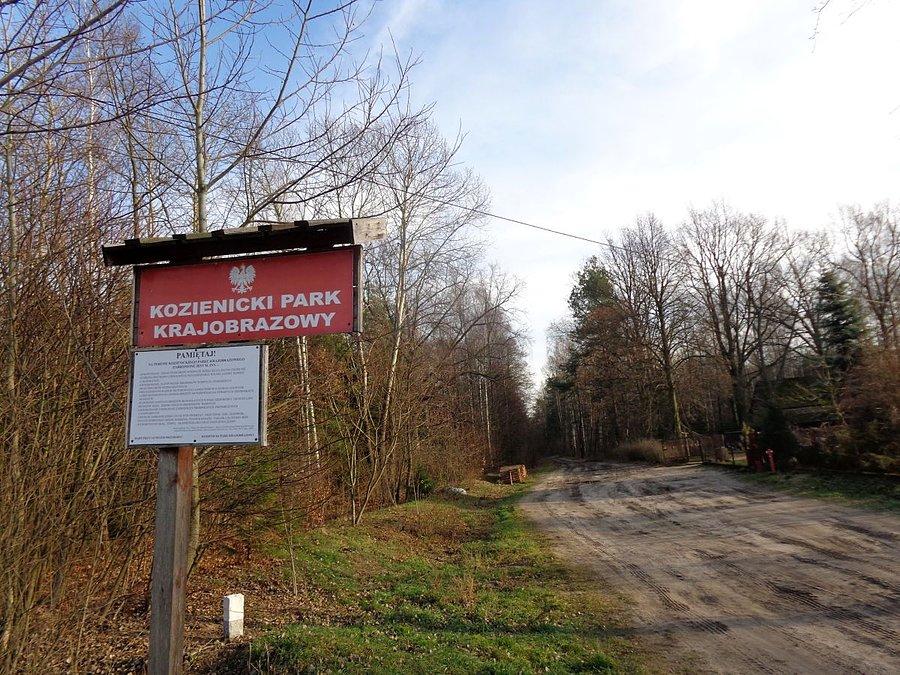 Puszcza Kozienicka