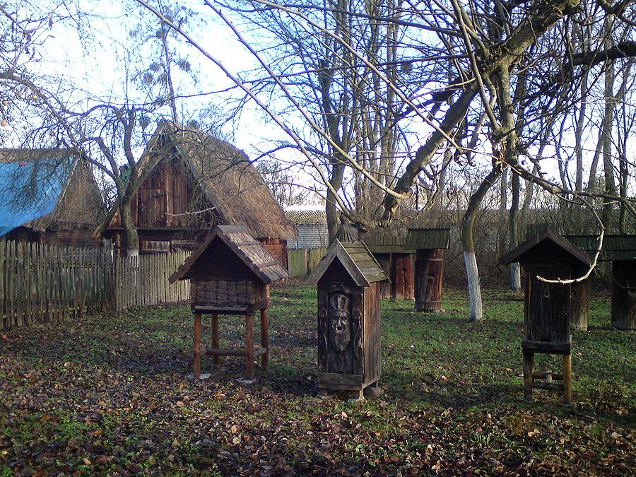 Pasieka z końca XIX w