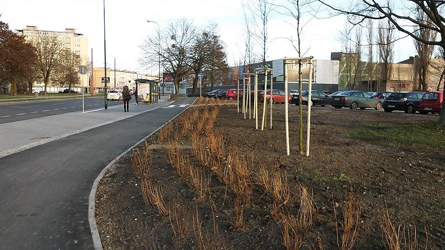 Łódź, Zielona