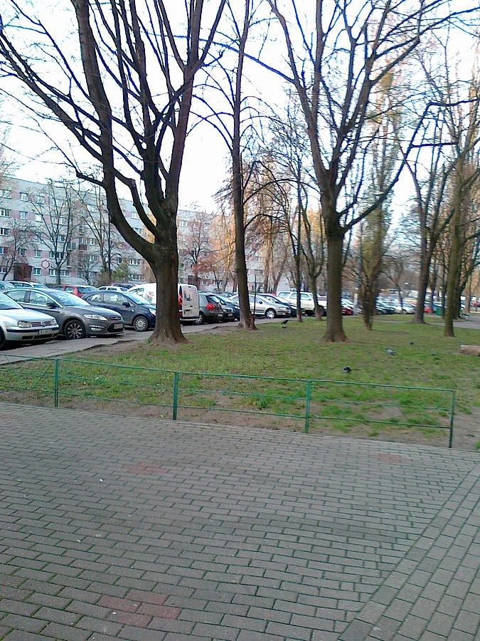 Prymasa Tysiąclecia od zaplecza