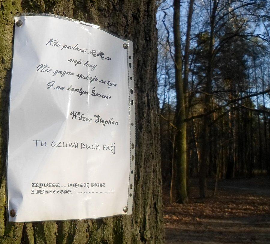 Ostatnie ostrzeżenie