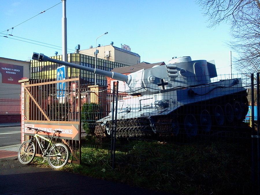 Tiger w Ostrawie