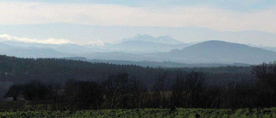 Tatry w oddali z Kwiatonowic