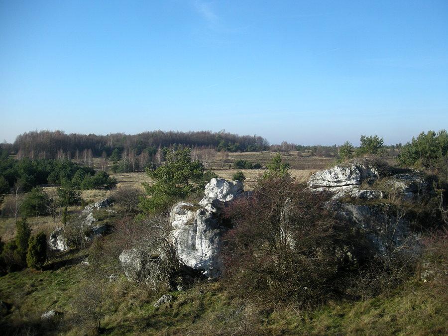 Ostańce na Łysej Górze koło Olsztyna