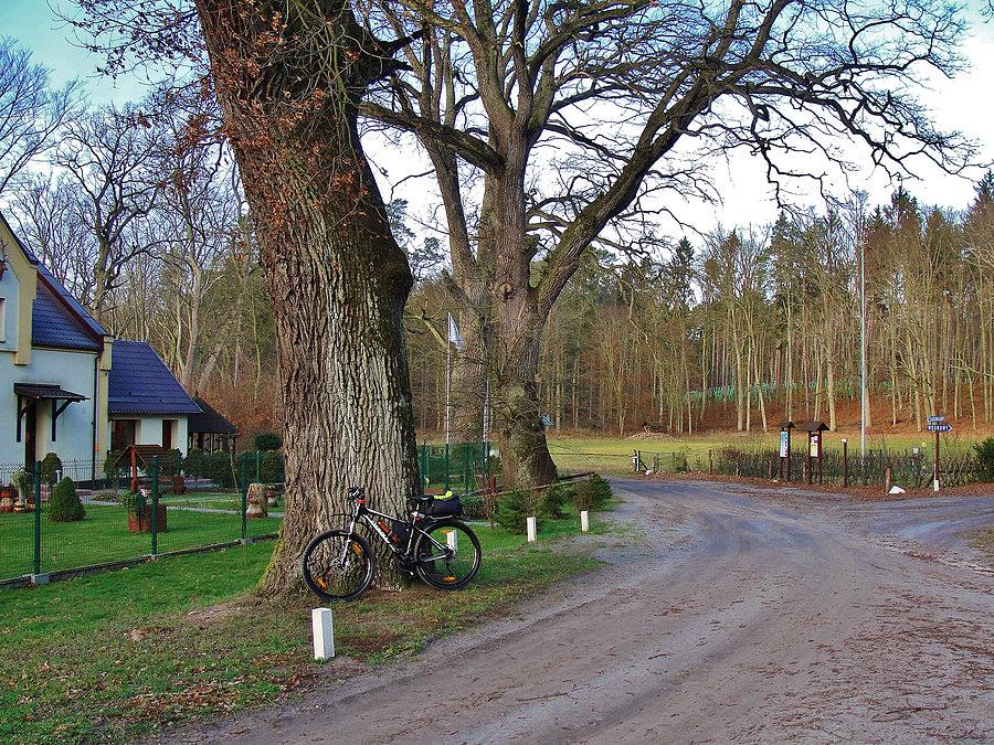 Mikołajkowy Jarmark - Owidz. Na trasie