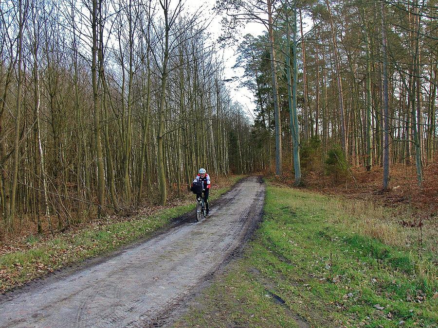 Mikołajkowy Jarmark - Owidz. Na trasie