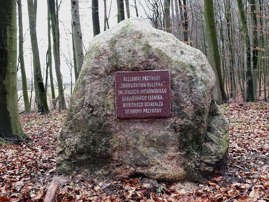 Głaz Jackowskiego