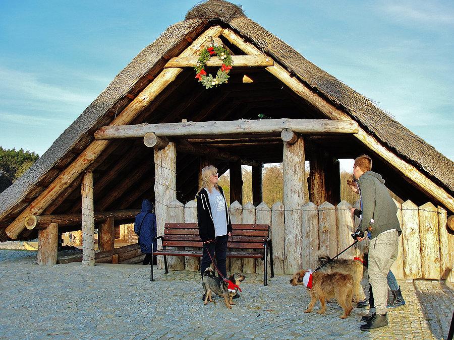 Mikołajkowy Jarmark - Owidz