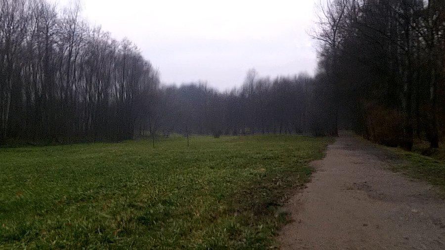 Lasek Makoszowski