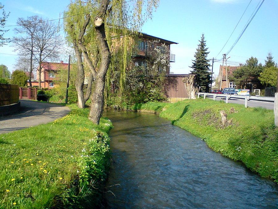 Prądnik