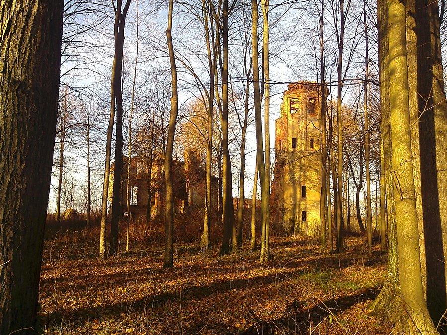 Rząsiny i ruiny