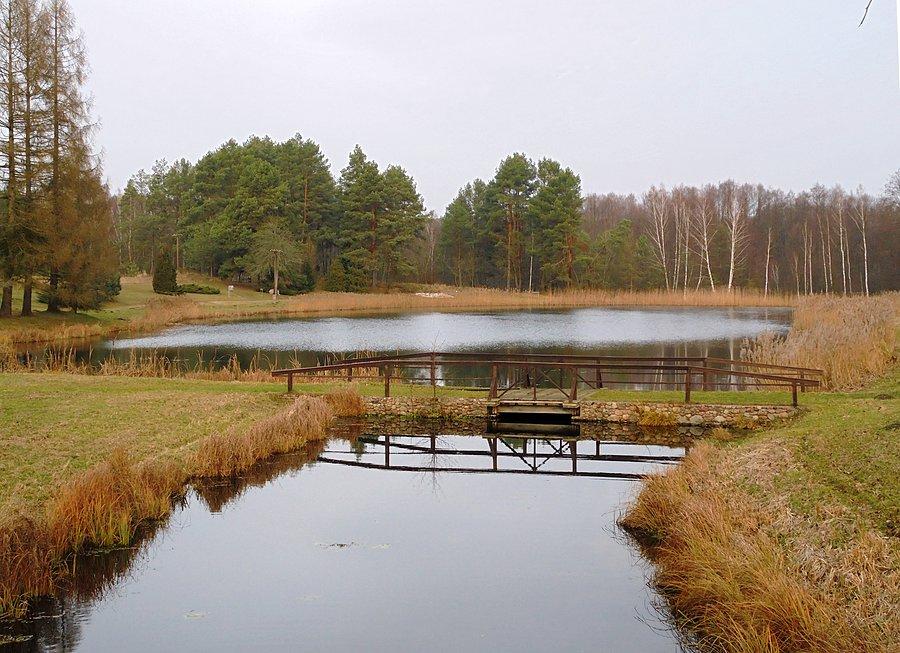 Arboretum Leśne w Zielonce