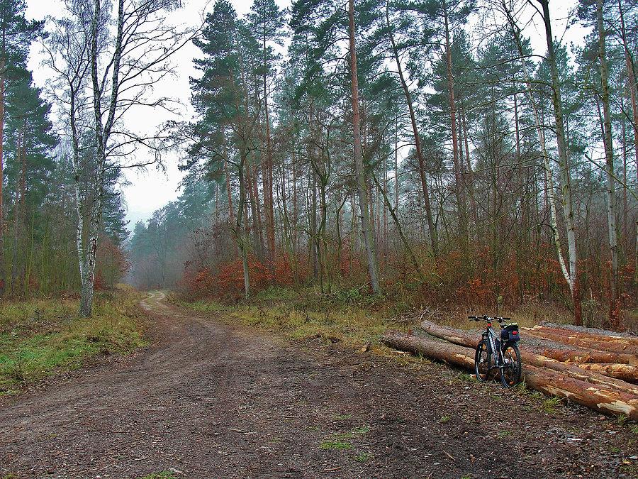 Okolice Tczewa - jesień