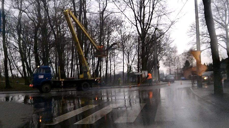 Na Księdza Niedzieli... trwa wycinka drzew, może raczej przycinka