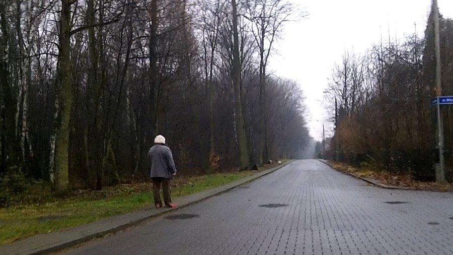 Właścicielka 2 burków