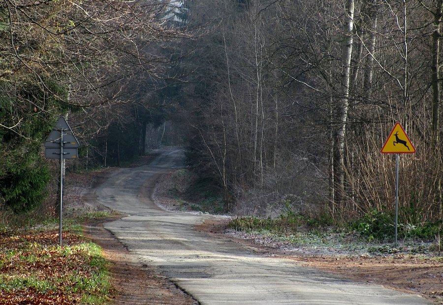 Końcówka podjazdu nad Leszczyny