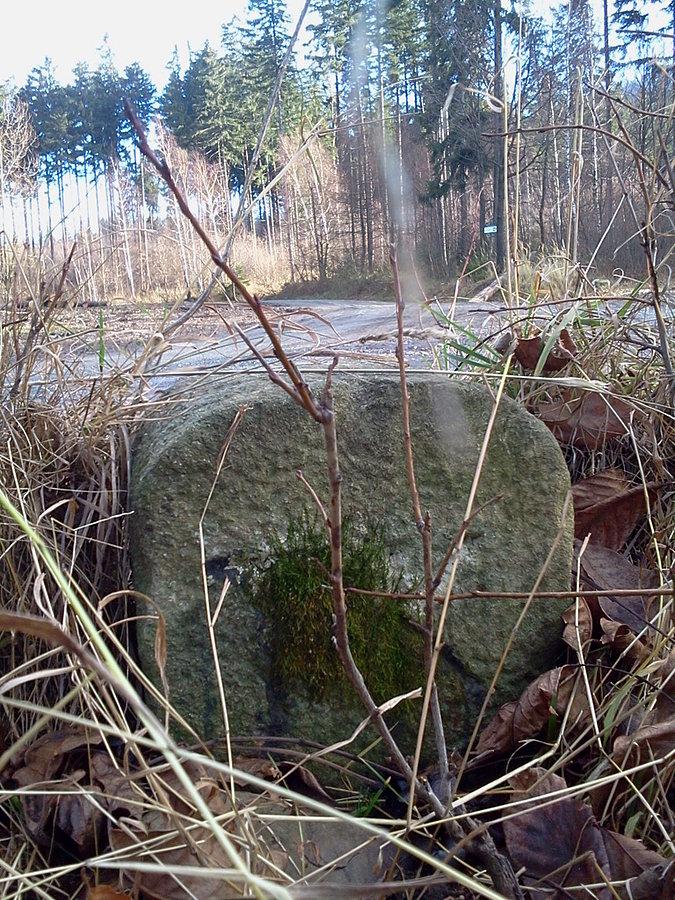 Pod Małą Czantorią wypatrzyłęm też jeden kamień TK