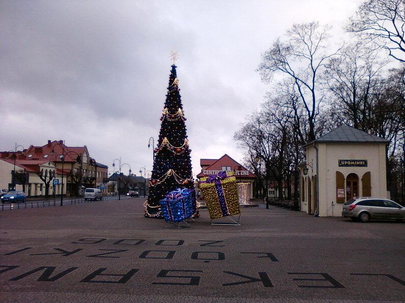 Choinka w Aleksandrowie Łódzkim