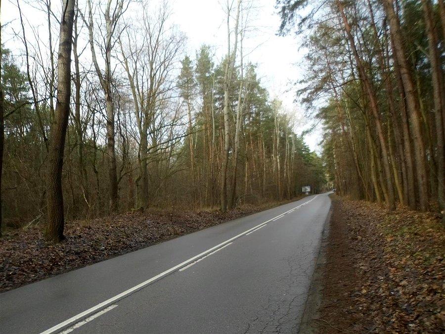 Droga Lipków - Hornówek
