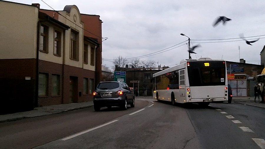 Ptaki na tle autobusu ;P