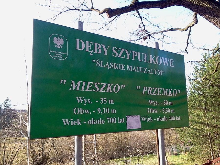 Mieszko i Przemko