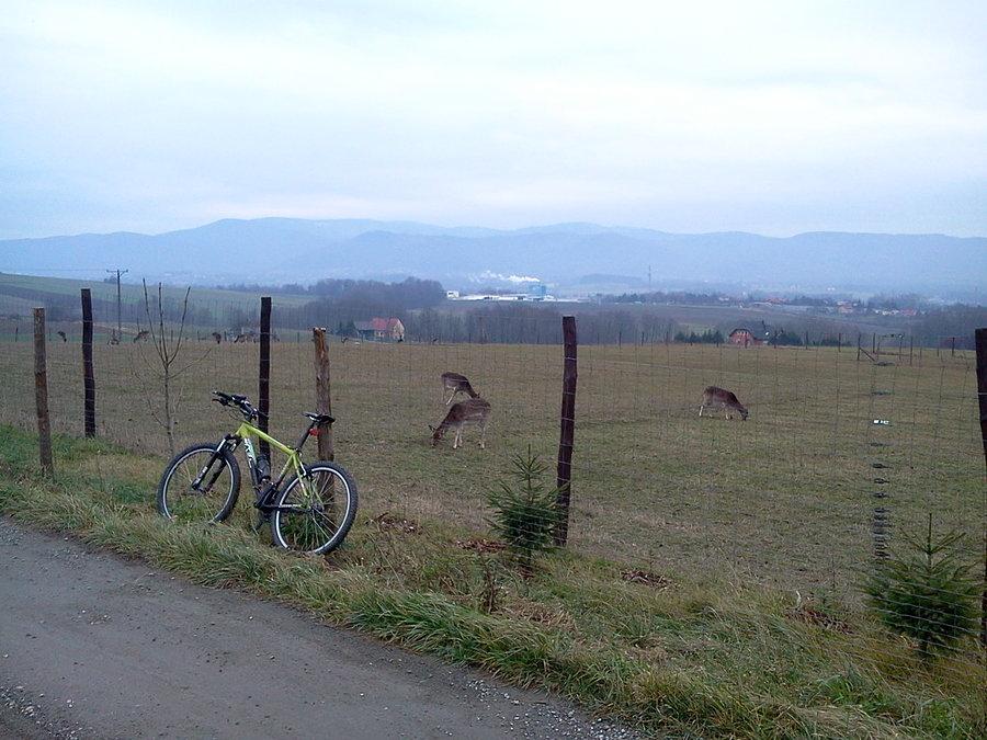 Widoczek na Beskidy