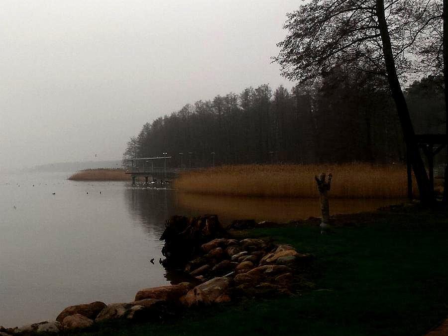 Mgła nad J.Miedwie w Morzyczynie