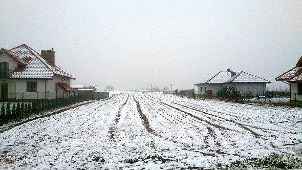Biało na polach