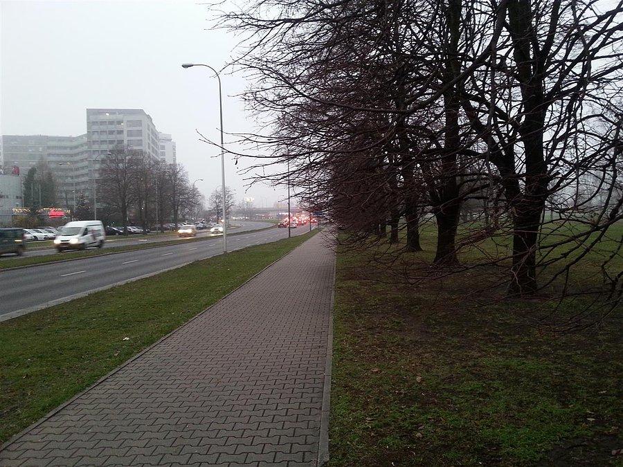 Gałęzie nad drogą rowerową Bitwy Warszawskiej 1920 roku