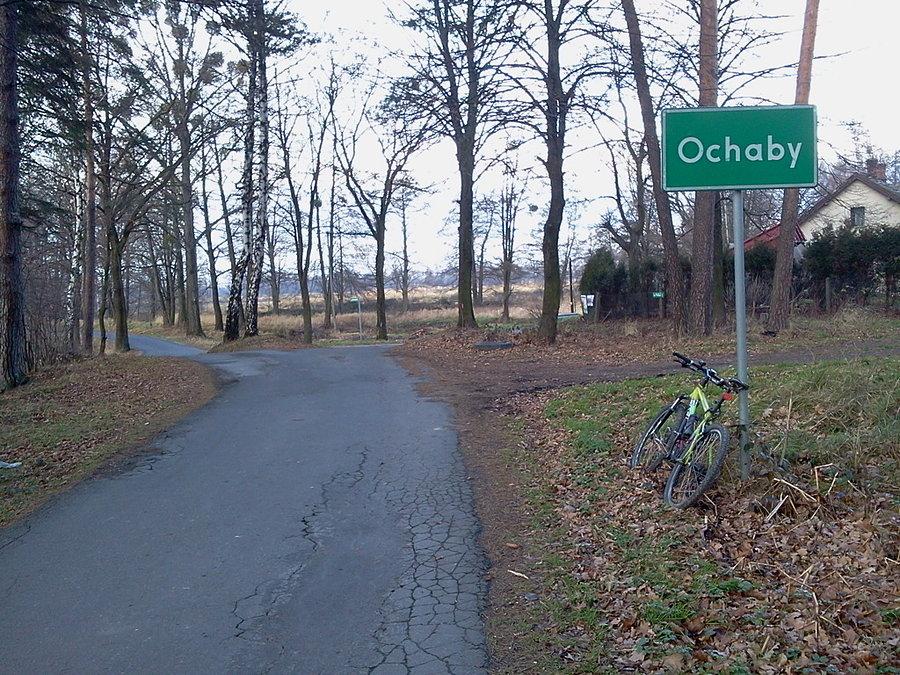 Ochaby