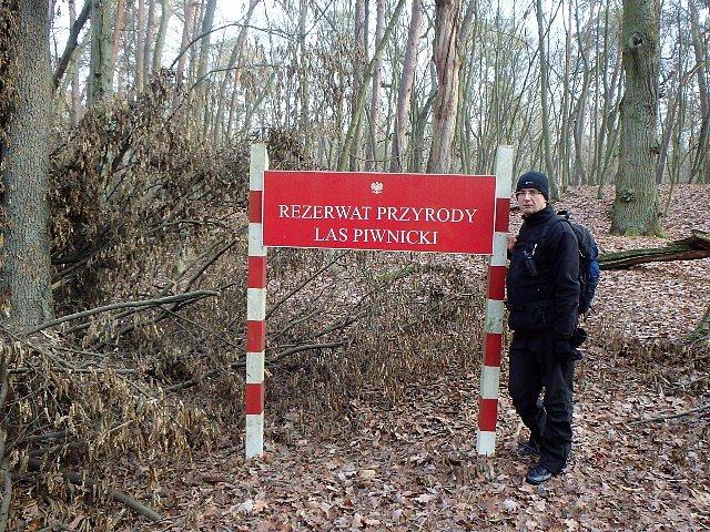 Na terenie rezerwatu Las Piwnicki