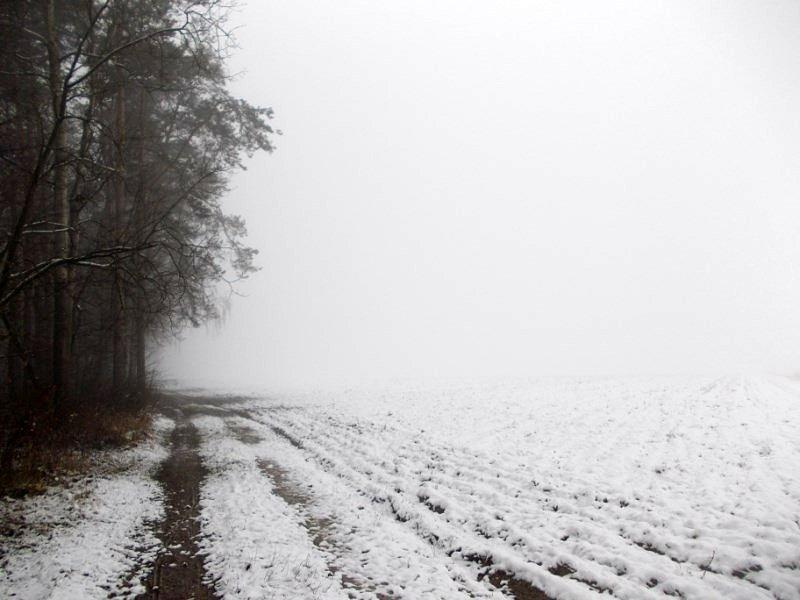Bardzo mgliste przedpołudnie 2