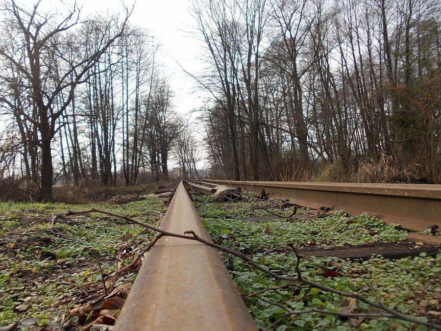 Nitka nałęczowskiej wąskotorówki