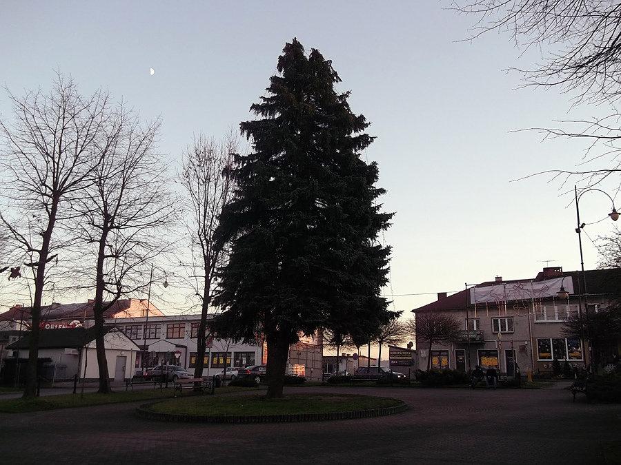 Gdów (mogliby ubrać tą choinkę na święta)