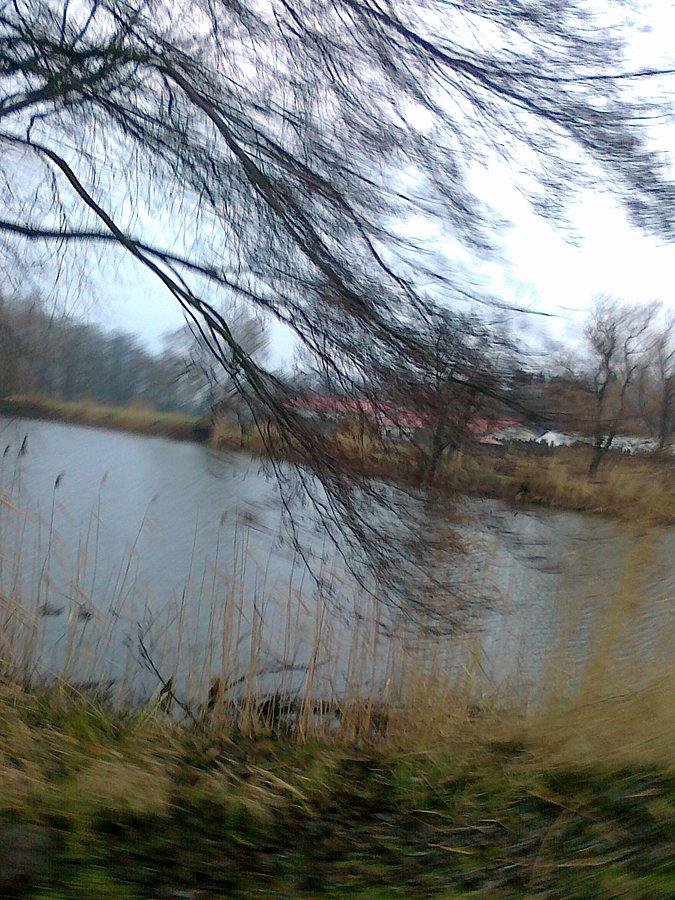 Tradycyjnie nad stawem