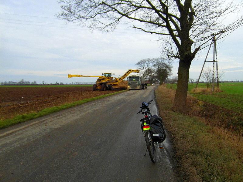 Jesteśmy na Żuławach Gdańskich