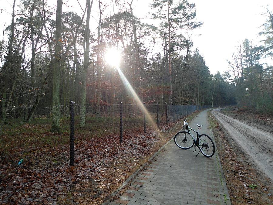 W parku w Gołuchowie