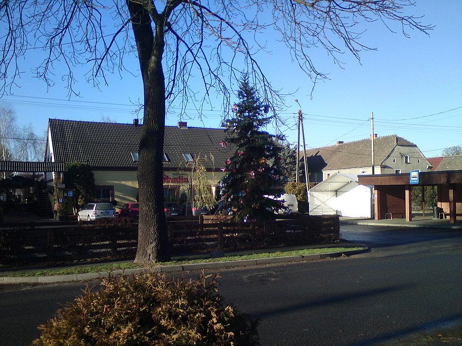 Choinka w centrum St. Siołkowic
