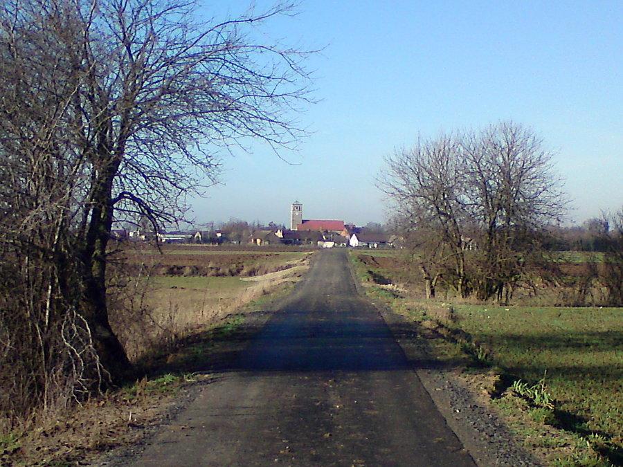 Kościół siołkowicki