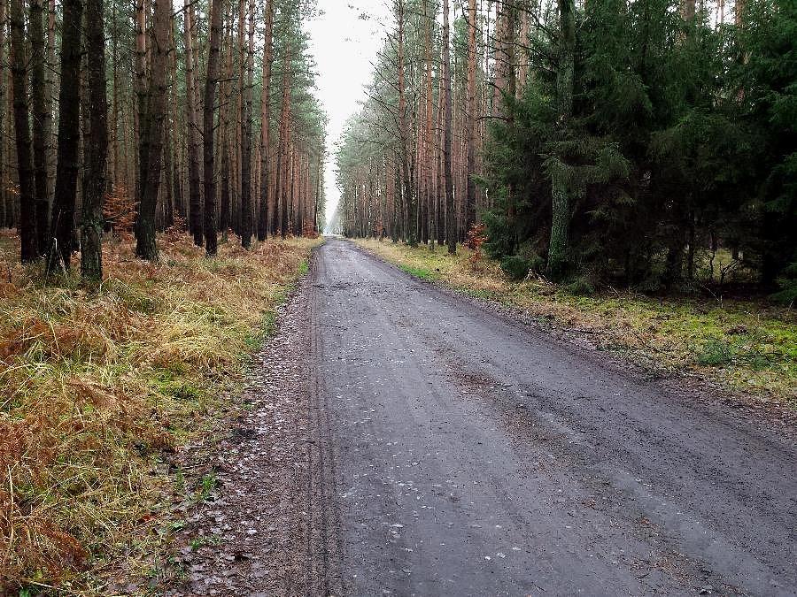 Odcinek nie remontowanej rowerostrady