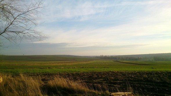 Wiosennie na polach