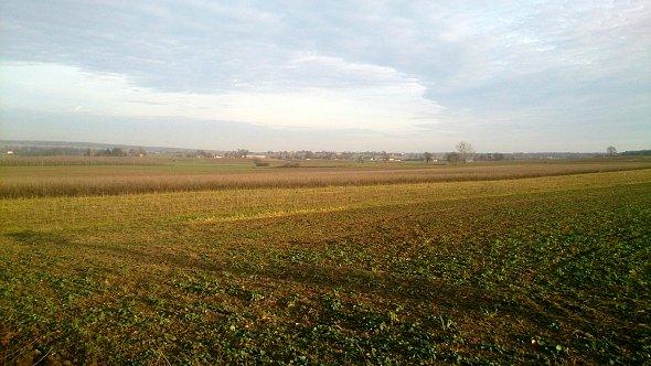 Zimy nie widać