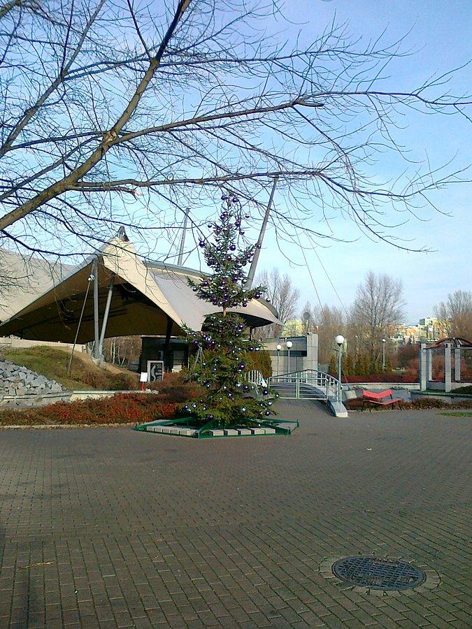Na dworze piękna słoneczna pogoda i około 10 stopni. Raczej baranki niż bałwanki na święta