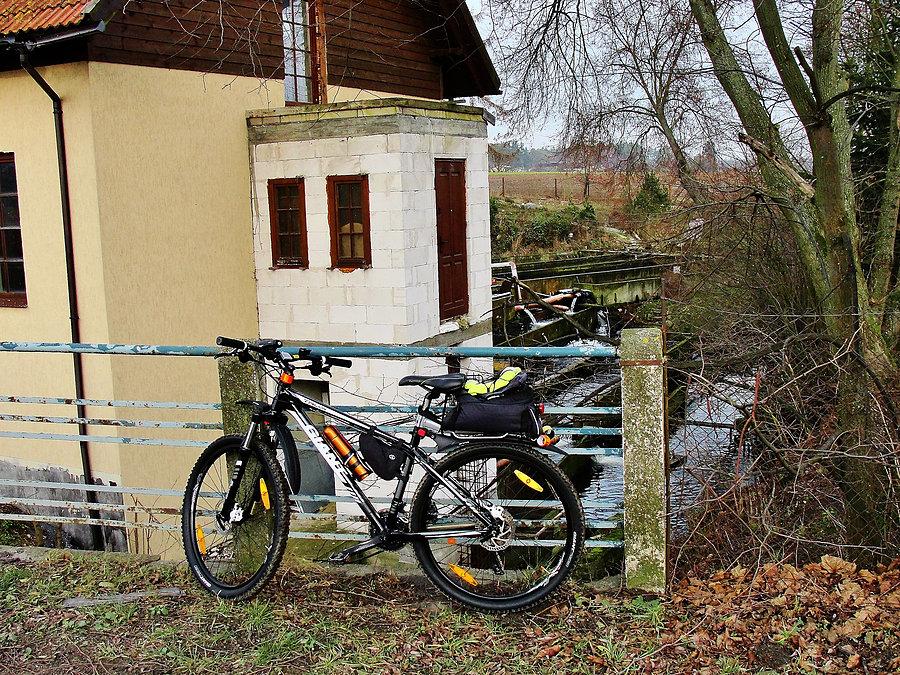 Po rybki na wigilię - Boroszewo