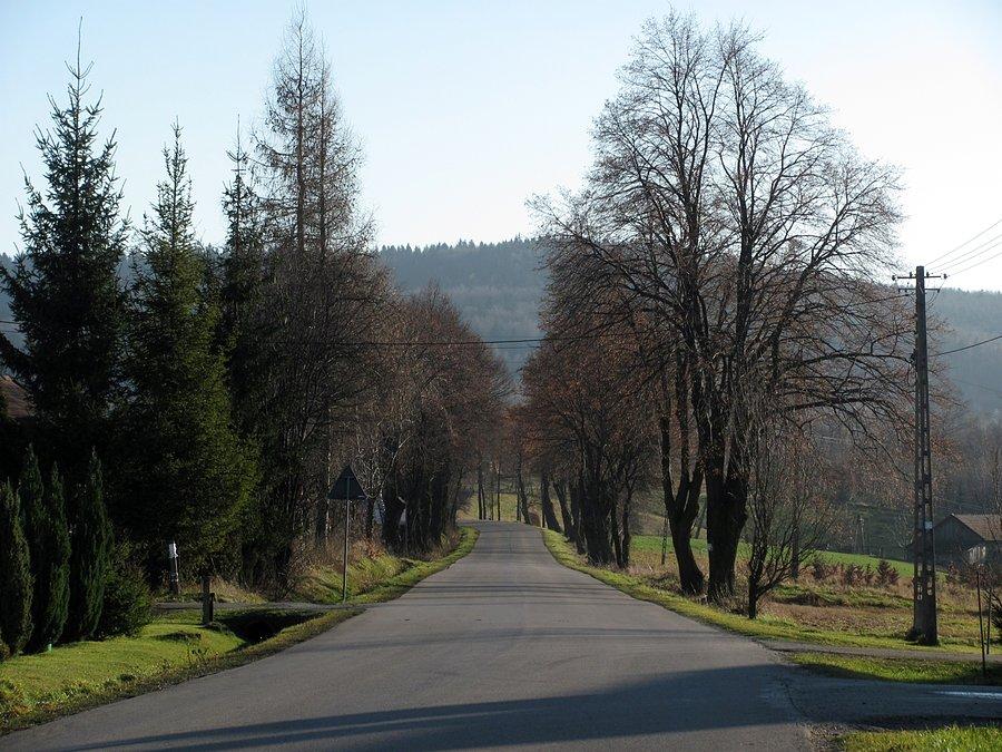 Pogórzańska zima