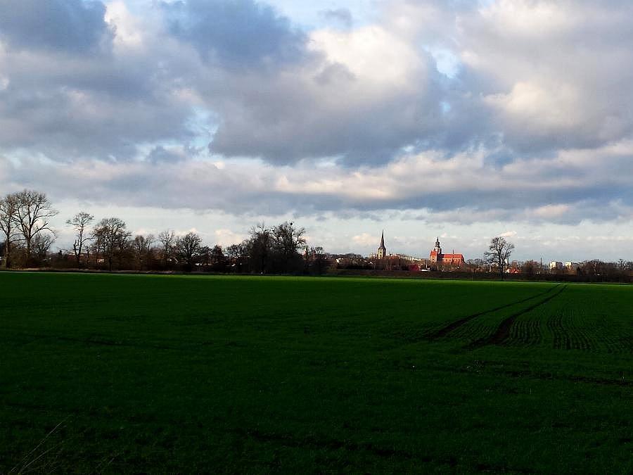Panorama Stargardu z okolic Świętego