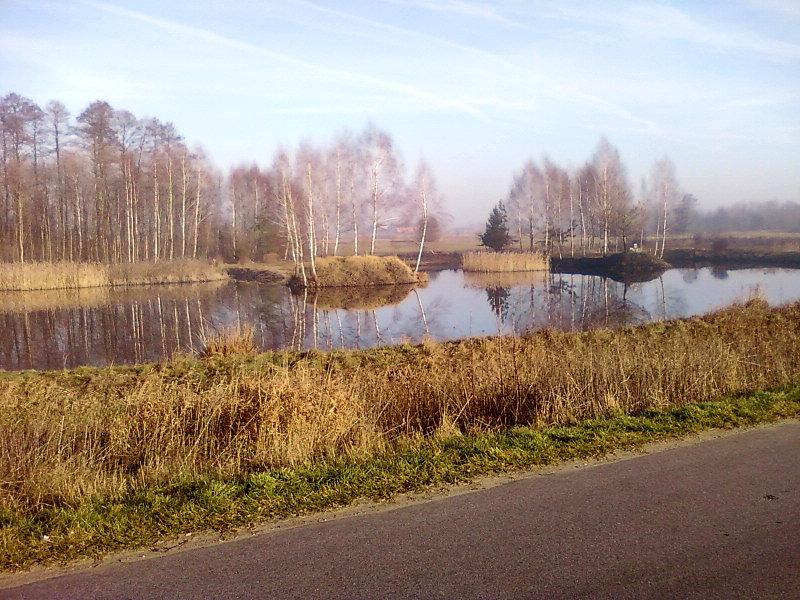 Stawy koło Tadzina