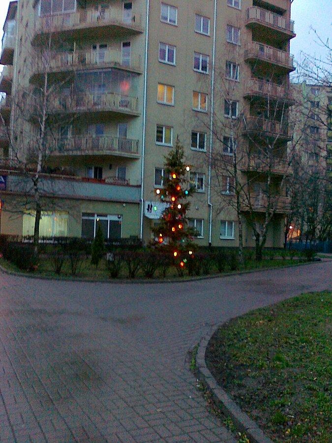 Świąteczny akcent