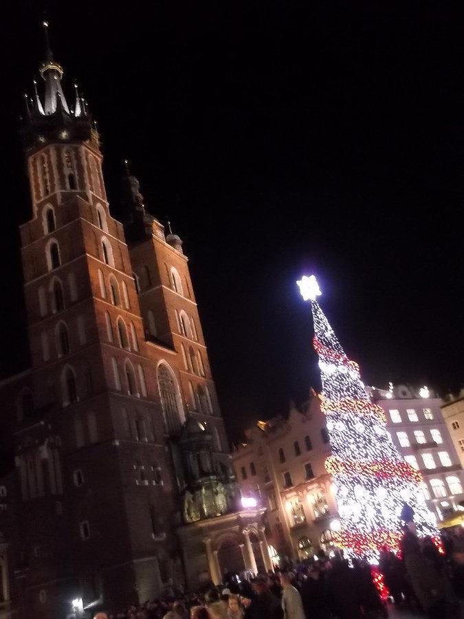 Choinka na Rynku Głównym